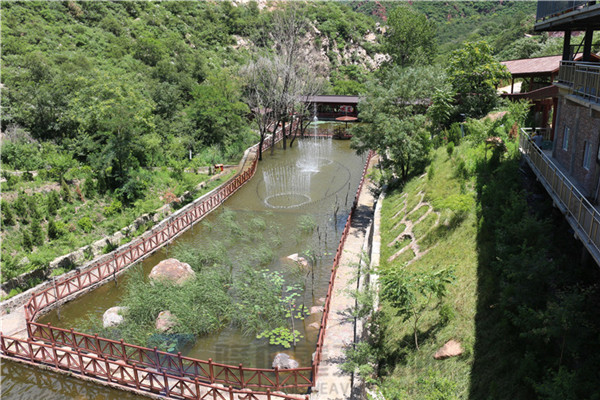 “荷風送香氣，竹露滴清響”洛陽隆中重工2019年度員工旅游活動--登封大熊山仙人谷一日游